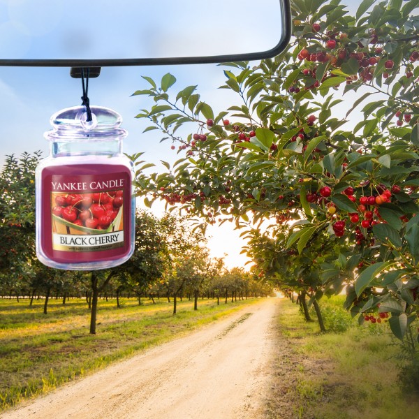 Car Jar Ultimate - Black Cherry von Yankee Candle