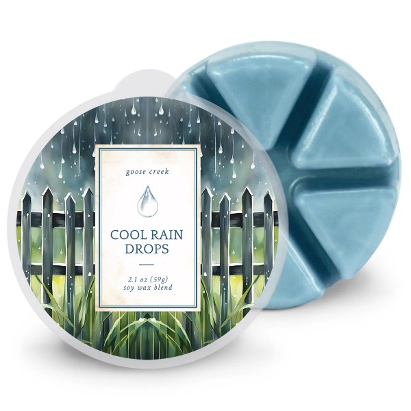 Cool Rain Drops - Wax Melt von Goose Creek
