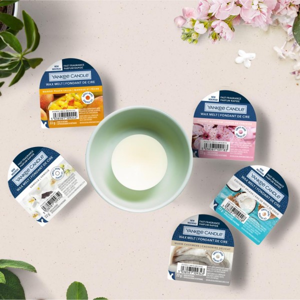 Wax Melts - Warm Cashmere - 3 Stück von Yankee Candle