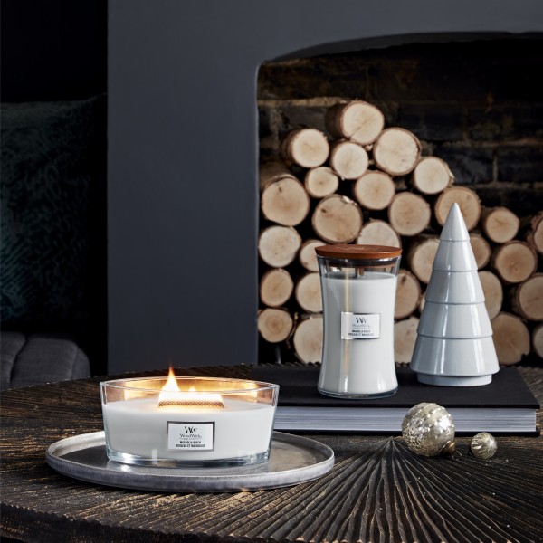 Magnolia Birch - Ellipse von Woodwick