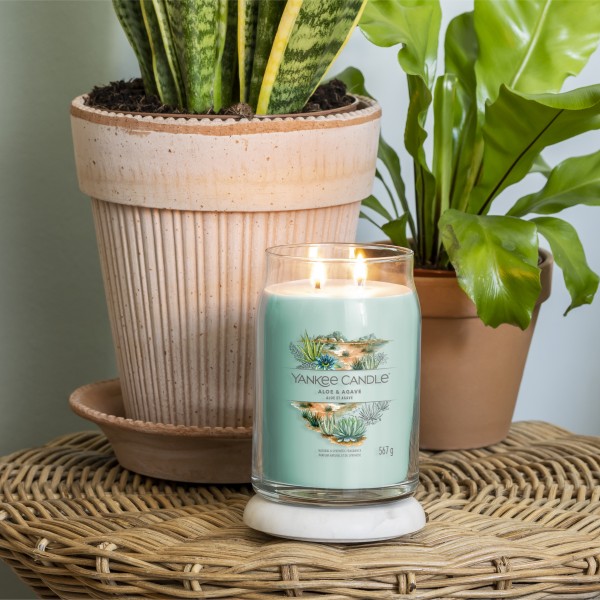 Aloe & Agave - Signature  Jar L von Yankee Candle