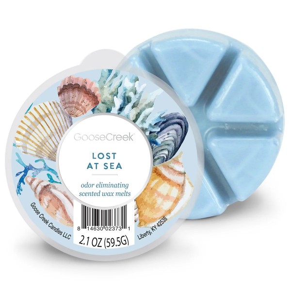 Lost At Sea - Wax Melt von Goose Creek