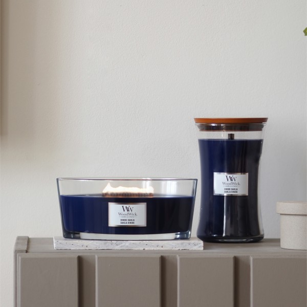 Hinoki Dahlia - Ellipse von Woodwick