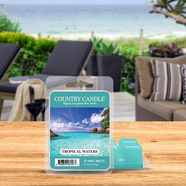 WaxMelt - Tropical Waters von Country Candle
