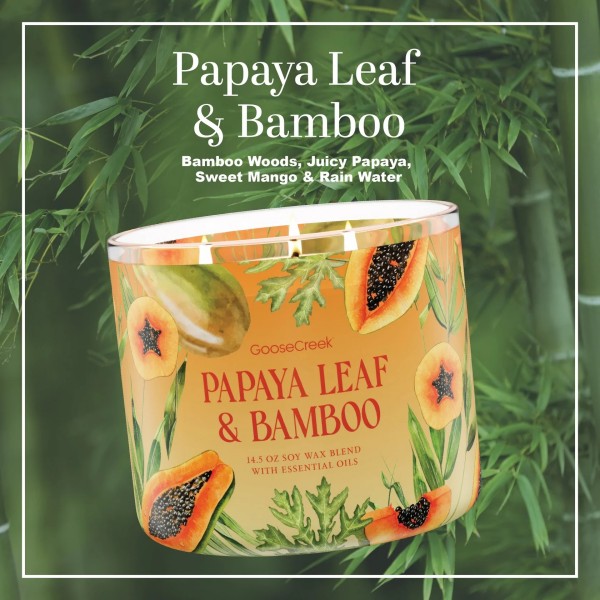 Papaya Leaf & Bamboo - 3-Docht von Goose Creek