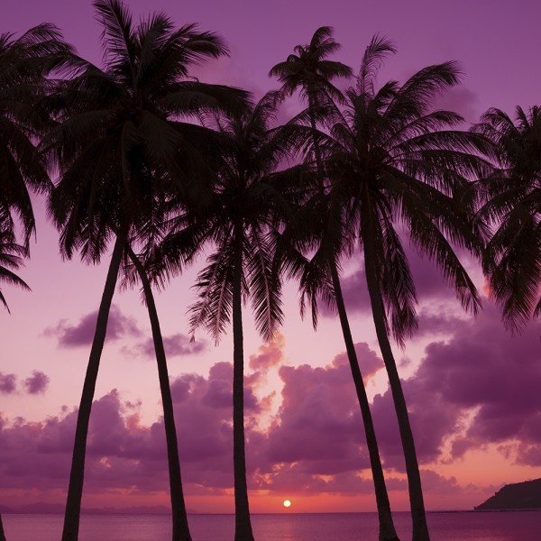 Palm Beach - 454g von Village Candle