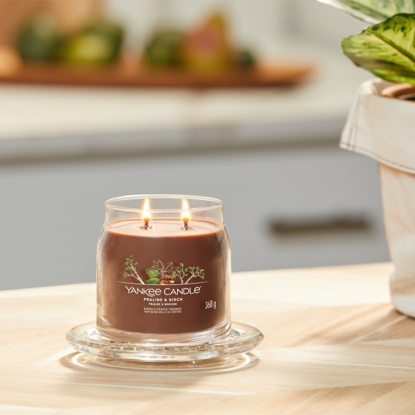 Praline & Birch - Signature  Jar M von Yankee Candle