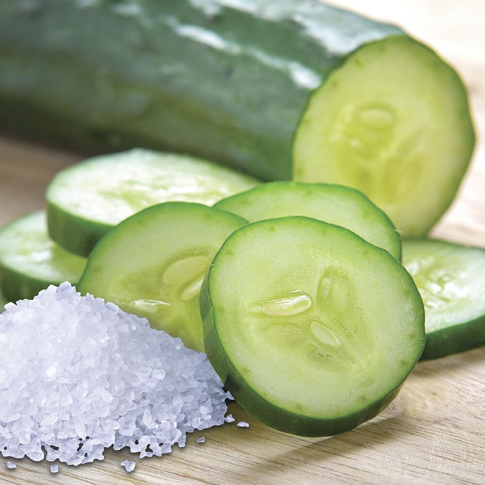 Sea Salt Cucumber - 454g von Village Candle