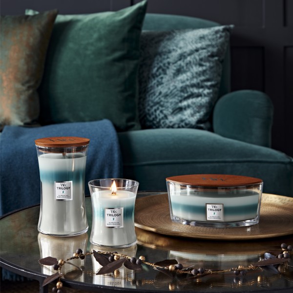 Trilogy Icy Woodland - Jar M von Woodwick