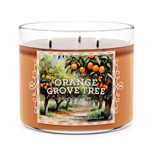 Orange Grove Tree - 3-Docht von Goose Creek