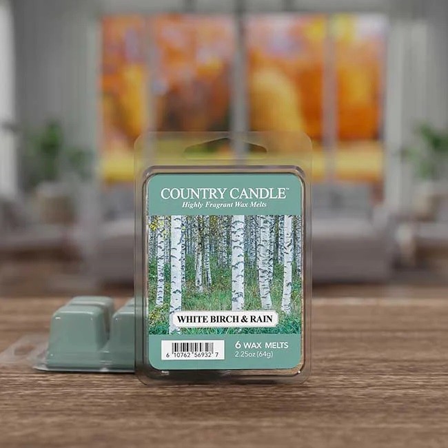 WaxMelt - White Birch & Rain von Country Candle