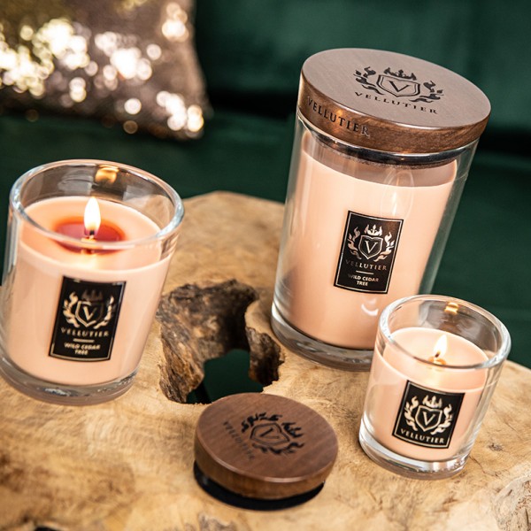 Wild Cedar Tree - Large von Vellutier