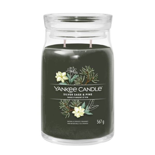 Silver Sage & Pine - Signature  Jar L von Yankee Candle