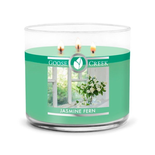 Jasmine Fern - 3-Docht 411g von Goose Creek