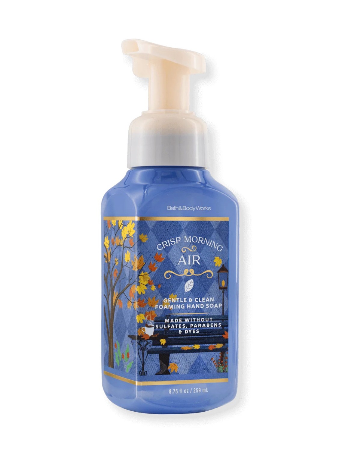 Schaumseife - Crisp Morning Air - 259ml von Bath and Body Works