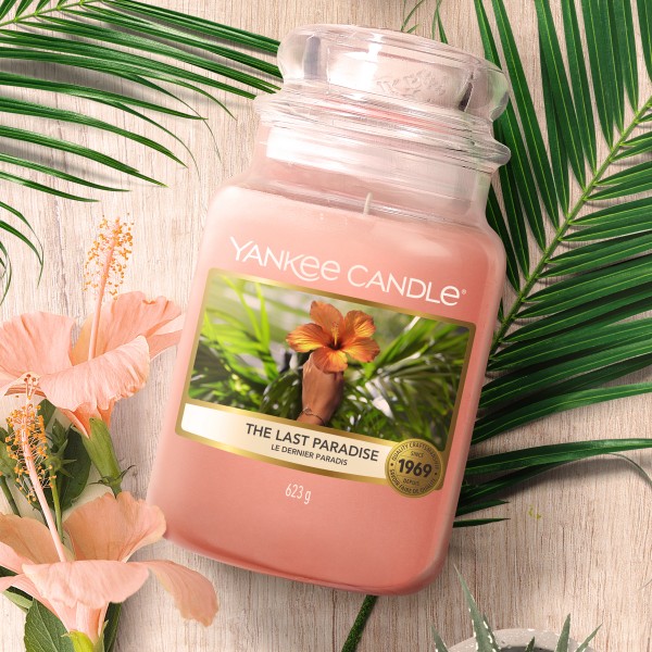 The Last Paradise - 104g von Yankee Candle