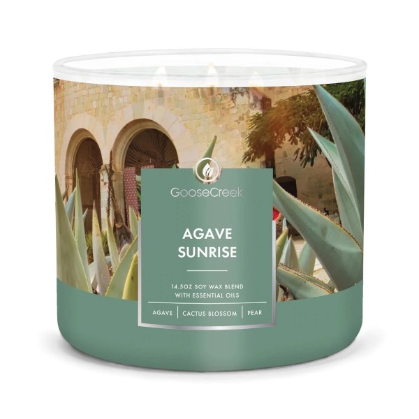 Agave Sunrise - 3-Docht von Goose Creek