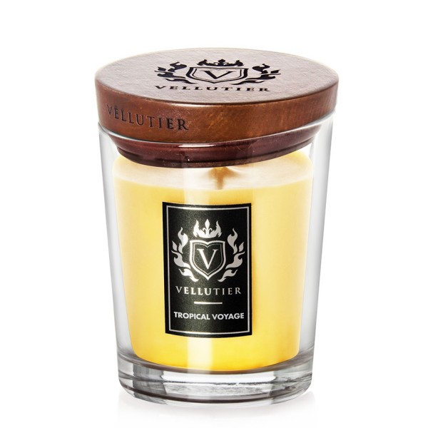 Tropical Voyage - Medium von Vellutier