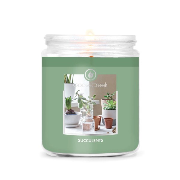 Succulents - 1-Docht von Goose Creek