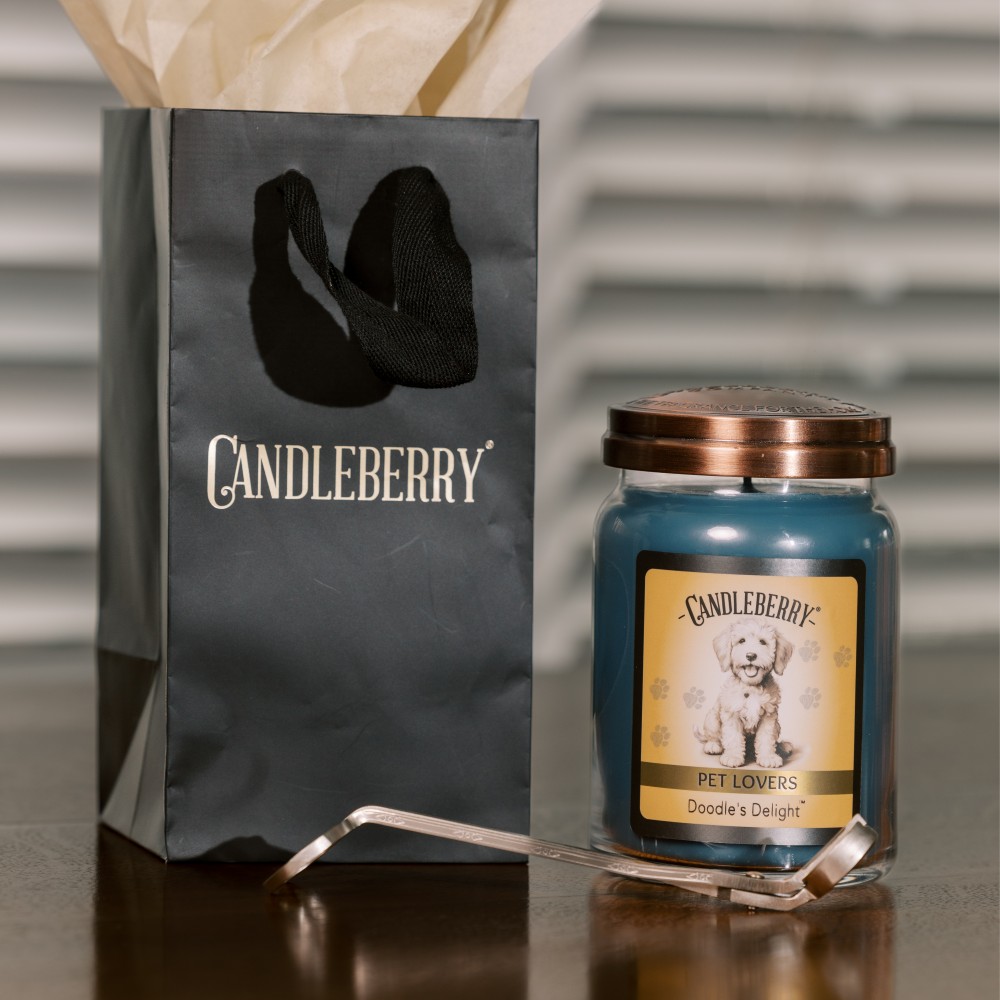 Doodle's Delight - Grosses Glas 623g von Candleberry