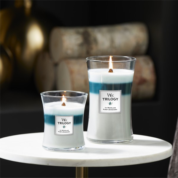 Trilogy Icy Woodland - Jar M von Woodwick