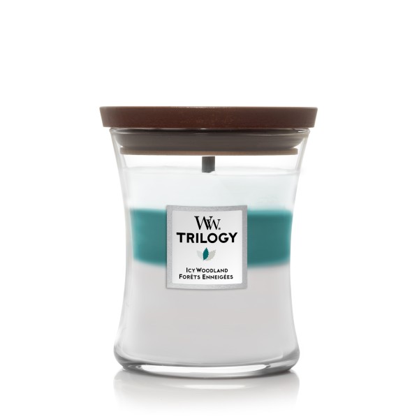 Trilogy Icy Woodland - Jar M von Woodwick