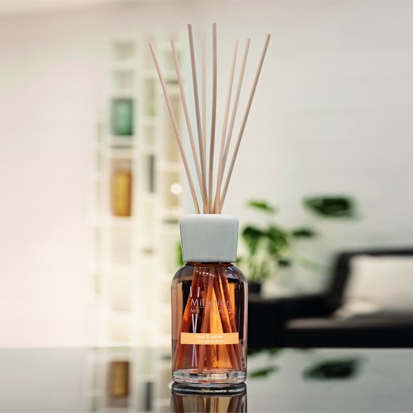 Natural - Lime & Vetiver - Stick Diffuser 100ml von Millefiori