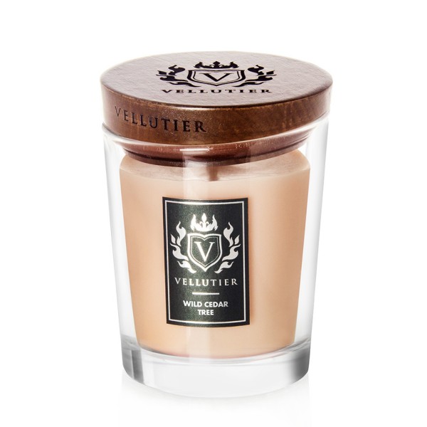 Wild Cedar Tree - Medium von Vellutier