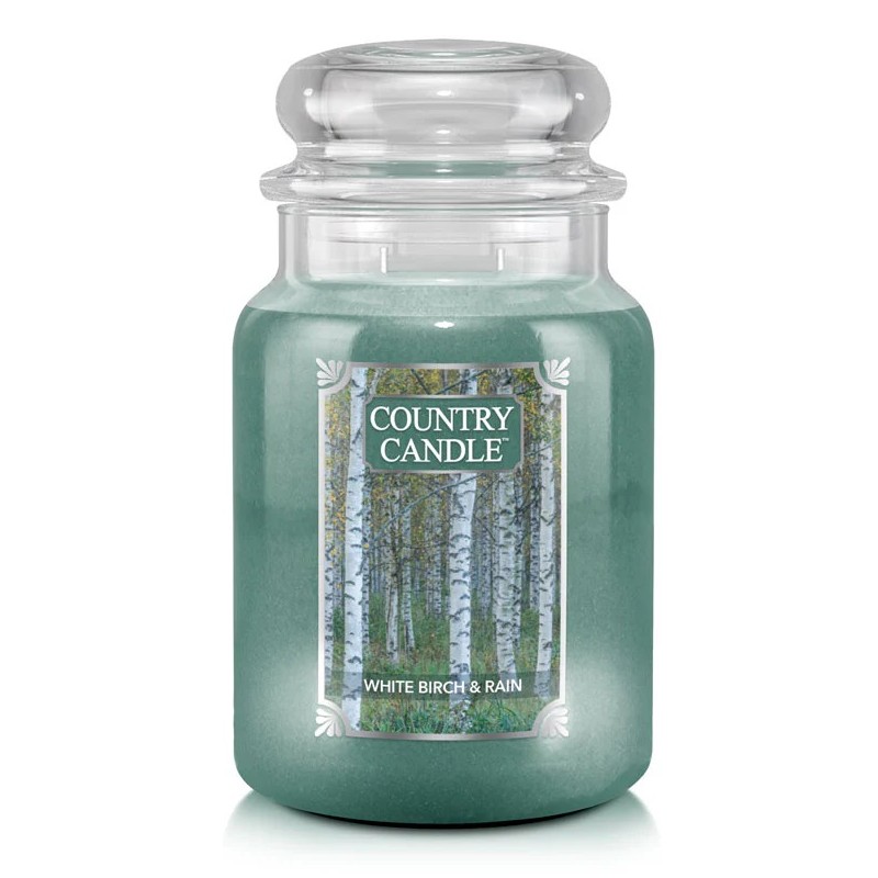White Birch & Rain - Jar L von Country Candle