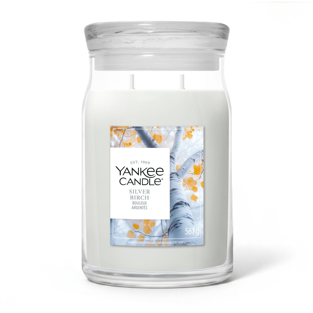Silver Birch - Signature Jar L von Yankee Candle