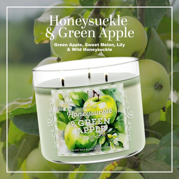 Honeysuckle & Green Apple - 3-Docht von Goose Creek