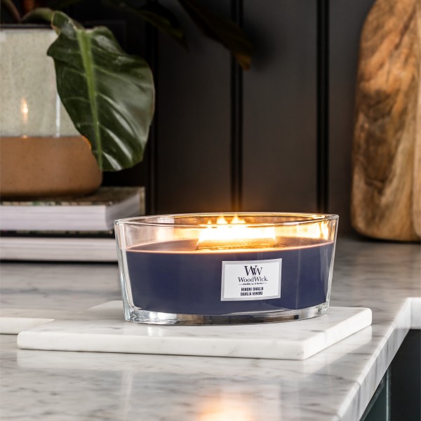 Hinoki Dahlia - Ellipse von Woodwick