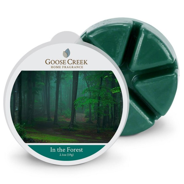 In the Forest - Wax Melt von Goose Creek