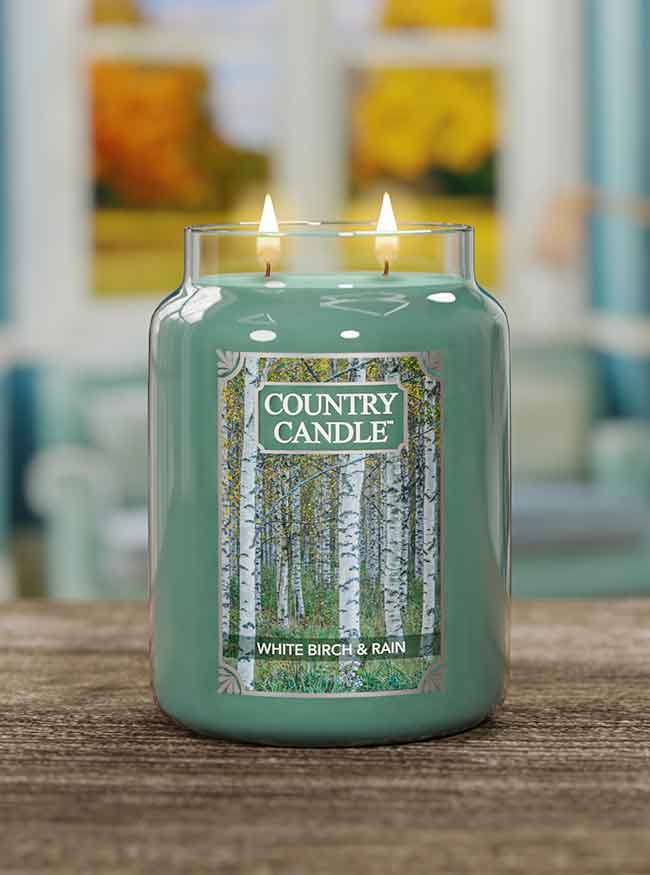 White Birch & Rain - Jar L von Country Candle