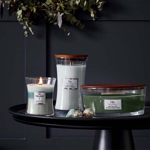 Trilogy Icy Woodland - Jar M von Woodwick