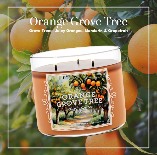 Orange Grove Tree - 3-Docht von Goose Creek