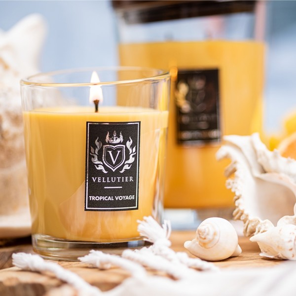 Tropical Voyage - Large von Vellutier