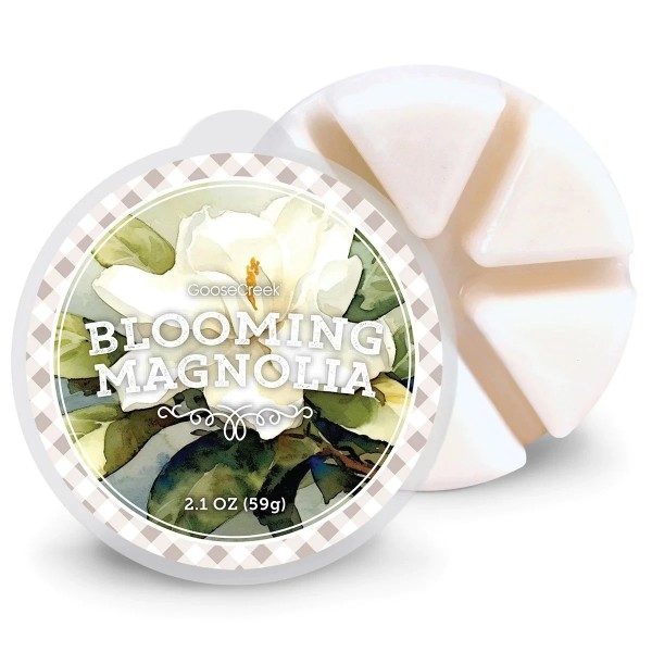 Blooming Magnolia - Wax Melt von Goose Creek