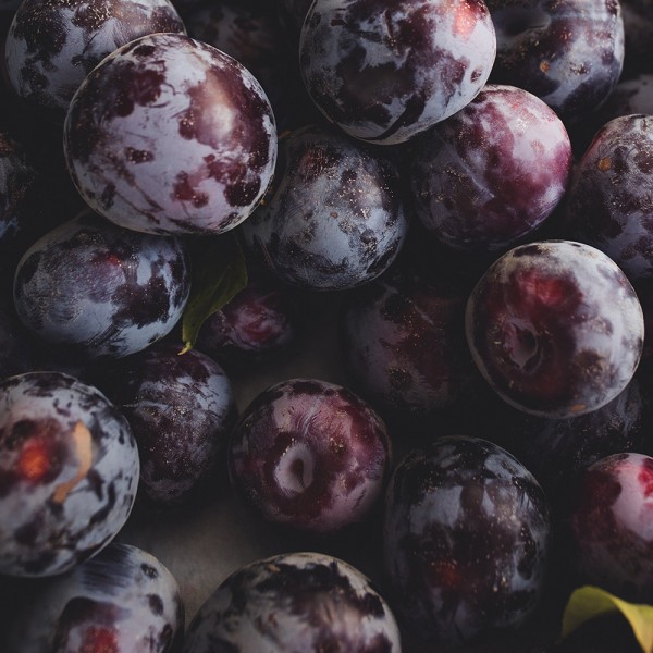 Gentleman`s - Dark Berries & Cedar von Village Candle