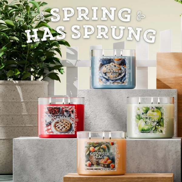 Buttered Blueberry Scone - 3-Docht von Goose Creek