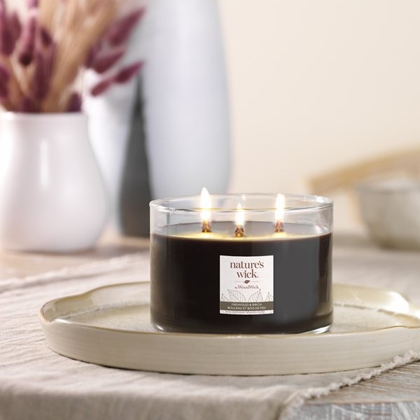 Firewood & Birch - 3 Docht Tumbler von Woodwick