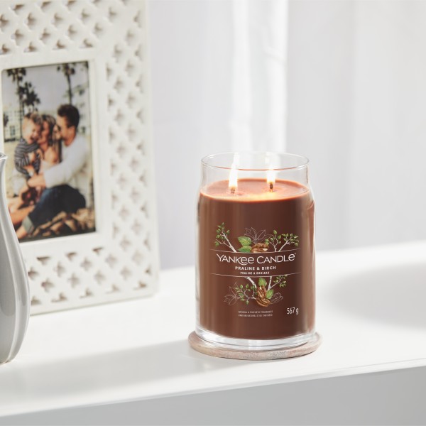 Praline & Birch - Signature  Jar L von Yankee Candle