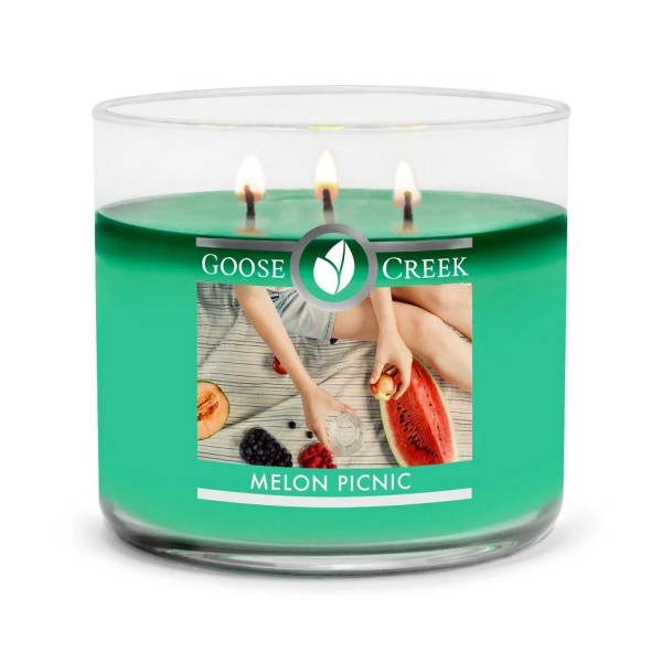 Melon Picnic - 3-Docht von Goose Creek
