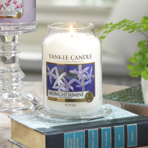Midnight Jasmine - 104g von Yankee Candle