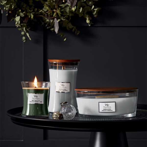 Magnolia Birch - Ellipse von Woodwick